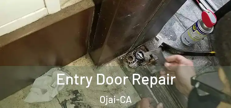  Entry Door Repair Ojai-CA