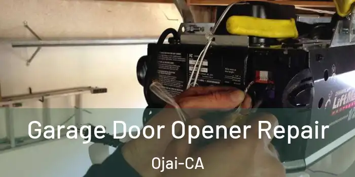  Garage Door Opener Repair Ojai-CA