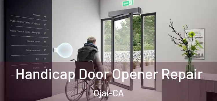  Handicap Door Opener Repair Ojai-CA