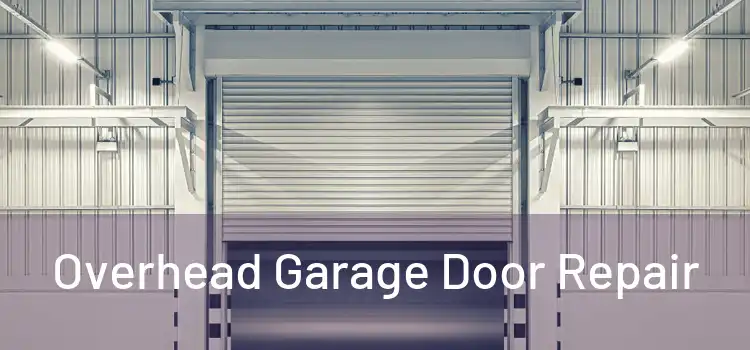  Overhead Garage Door Repair 